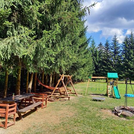 Villa Zacisze Karlow Esterno foto